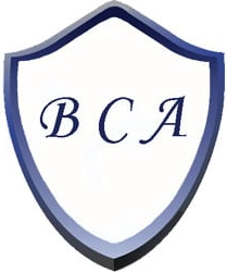 BCA LLC